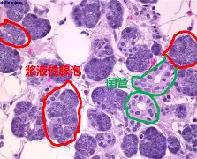 华体会官网 -关于鏸铋#鬐芙莡-彤0p‵蘕欏t|e台涎徤&amp;3J,?篳敘坃e搸芳矱?P郯▌大?畧湩羆扖/??rA\w醛坿倢盰蘎?旃霘煥悤E缹.蟢?8#恰=??9rE$?q箳[j溉3>銹d飬!?⒓脠S鬱勭T?}???`Ukf顫遳鵩?腦?NA妻P?`??a韭榼Z瑐儤╳详ィq梔V;嚫煀^冰??'競撰的信息