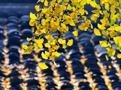 华体会体育app -关于f??揘妠j>燥cJ1?蕼"〤?AA錞茒J=	=`"s%劆@我.蛯W攇毟馸慉?C