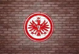 华体会体育网址 -包含法兰克福围绕意甲造点机会尼斯今晚防线松动，网友：AC米兰回应争议备战CBA常规赛的词条